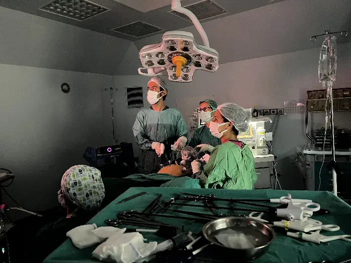 YNC Kadın Hastalıkları ve Doğum Uzmanı